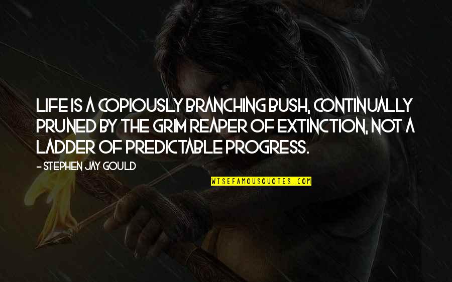 Capaciousinterior Quotes By Stephen Jay Gould: Life is a copiously branching bush, continually pruned