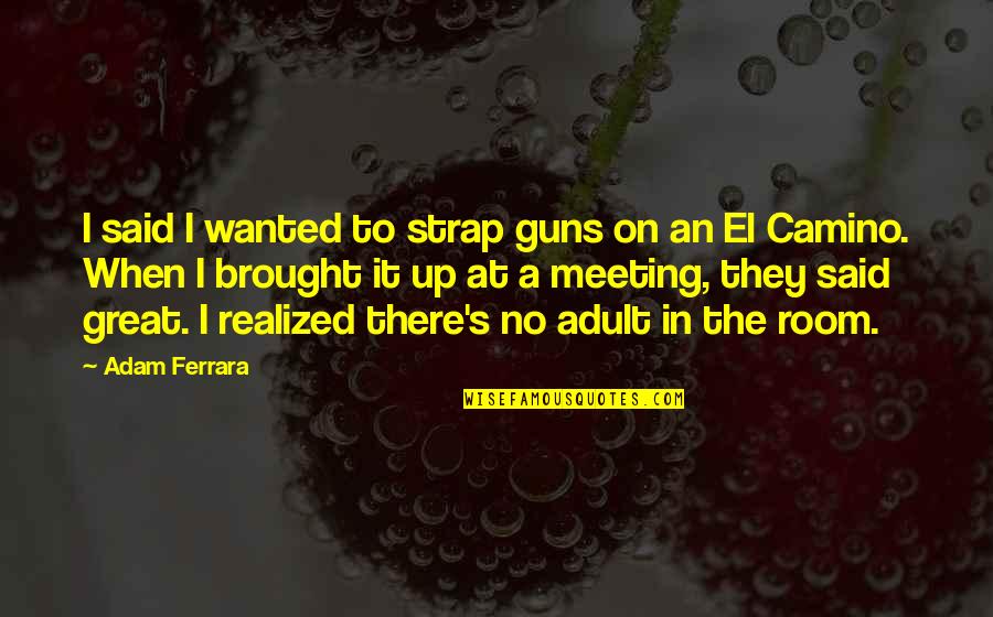 Capias Warrant Quotes By Adam Ferrara: I said I wanted to strap guns on