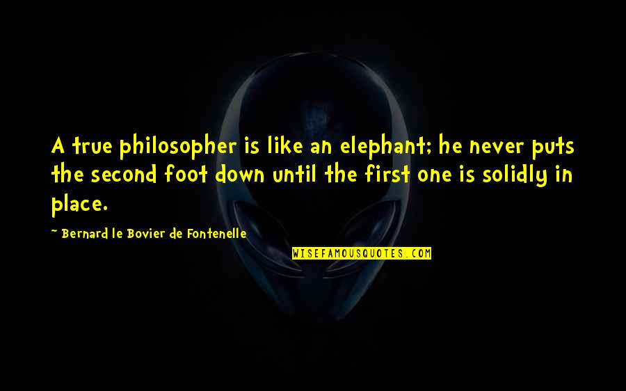 Capitanes Espn Quotes By Bernard Le Bovier De Fontenelle: A true philosopher is like an elephant; he