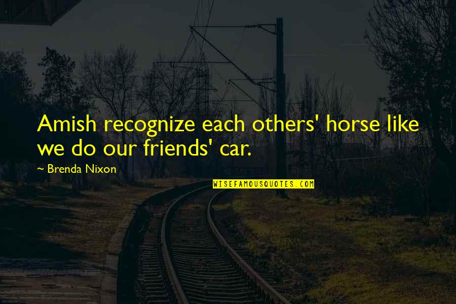 Car Culture Quotes By Brenda Nixon: Amish recognize each others' horse like we do