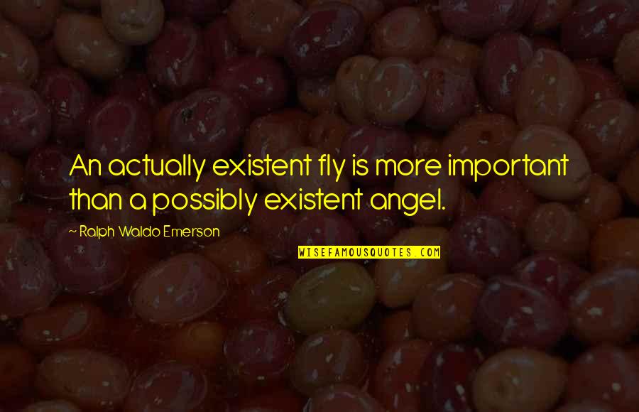 Cardinal Logistics Quotes By Ralph Waldo Emerson: An actually existent fly is more important than