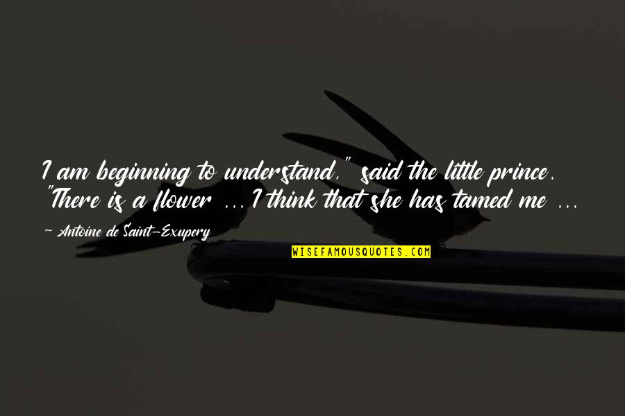 Caresses Synonym Quotes By Antoine De Saint-Exupery: I am beginning to understand," said the little