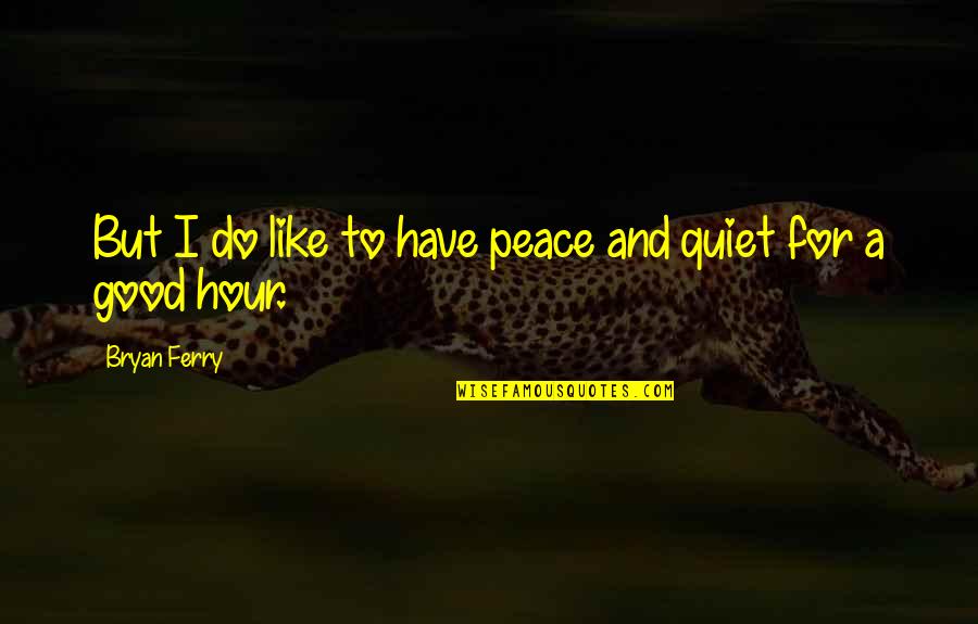 Cargadores De Laptop Quotes By Bryan Ferry: But I do like to have peace and