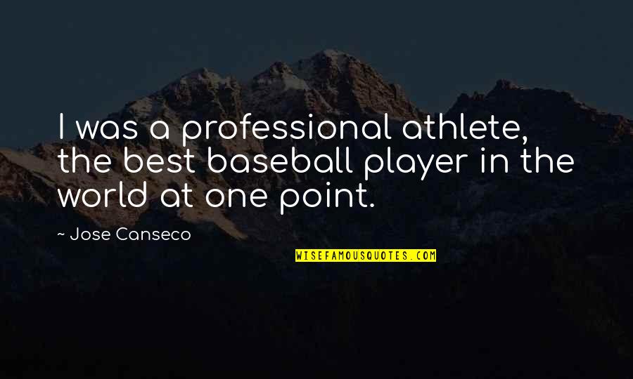 Caring For One Another Quotes By Jose Canseco: I was a professional athlete, the best baseball