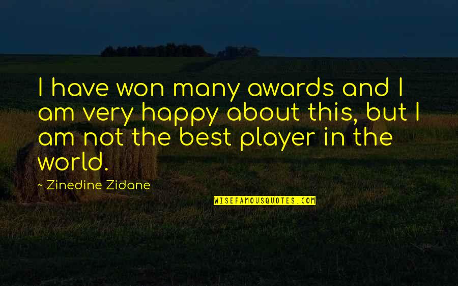 Carl Barron Quotes By Zinedine Zidane: I have won many awards and I am