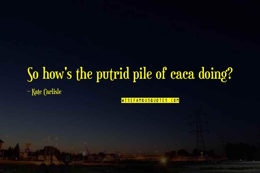 Carlisle's Quotes By Kate Carlisle: So how's the putrid pile of caca doing?