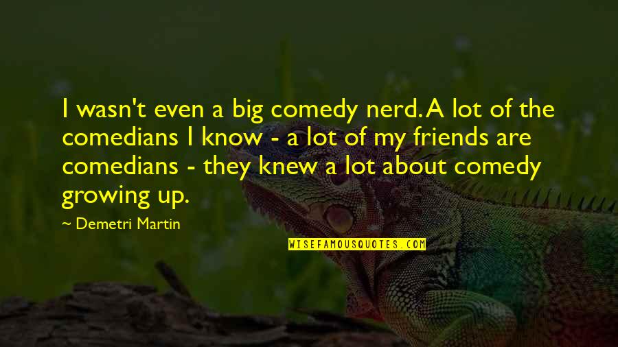 Carnaval Maluma Quotes By Demetri Martin: I wasn't even a big comedy nerd. A