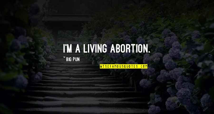 Cascaron Recipe Quotes By Big Pun: I'm a living abortion.