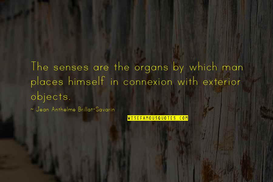 Cassimore Canopy Quotes By Jean Anthelme Brillat-Savarin: The senses are the organs by which man