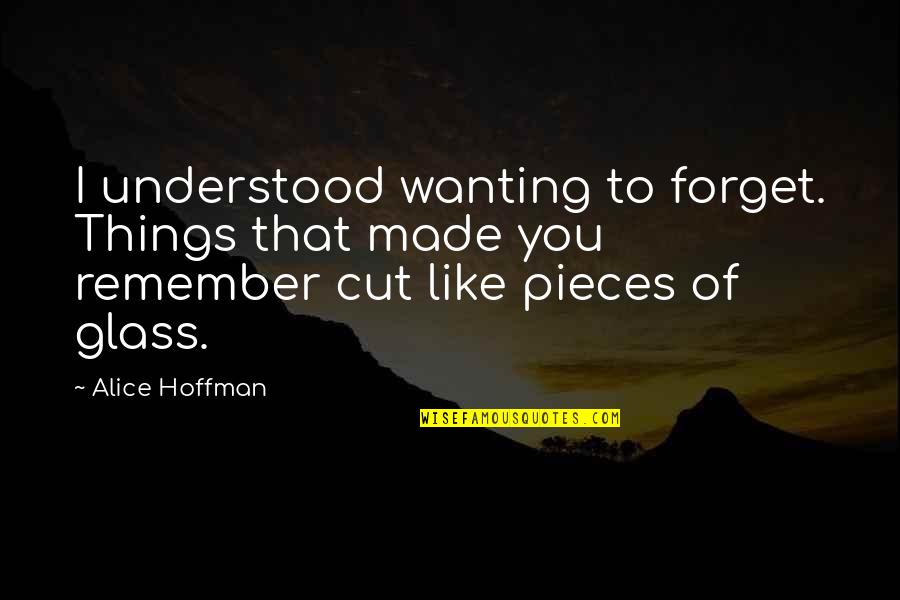 Castelo De Vide Quotes By Alice Hoffman: I understood wanting to forget. Things that made