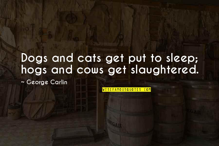 Cat And Dog Quotes By George Carlin: Dogs and cats get put to sleep; hogs