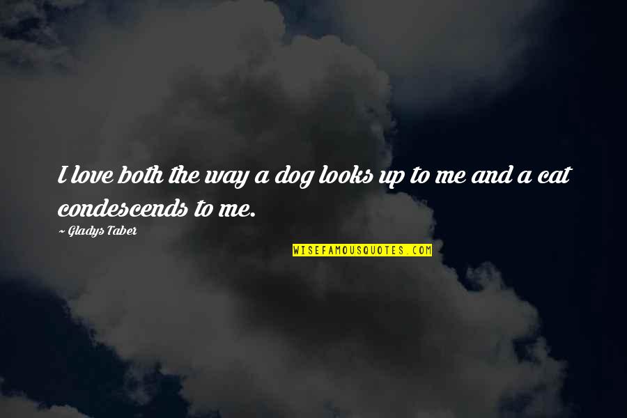 Cat And Dog Quotes By Gladys Taber: I love both the way a dog looks