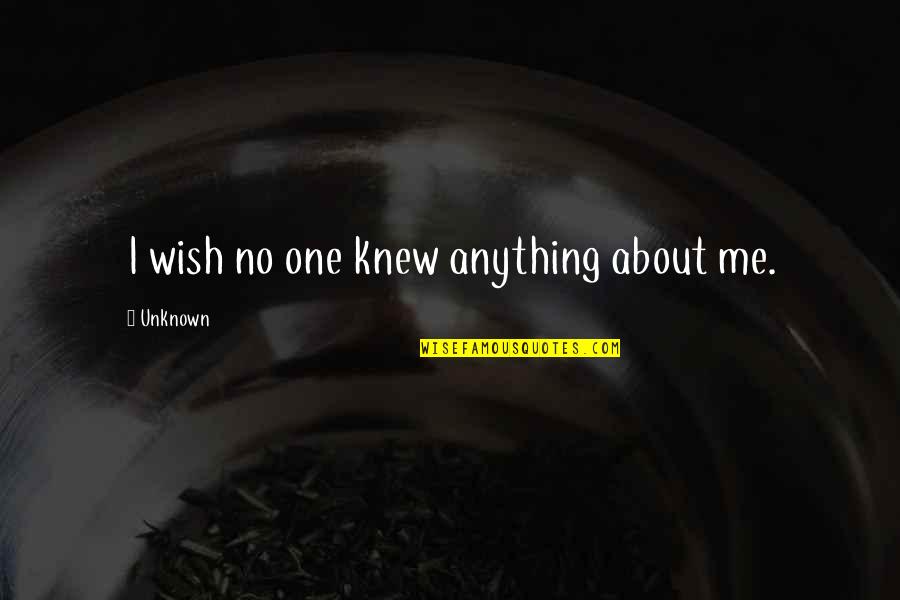 Catastrofismo Quotes By Unknown: I wish no one knew anything about me.