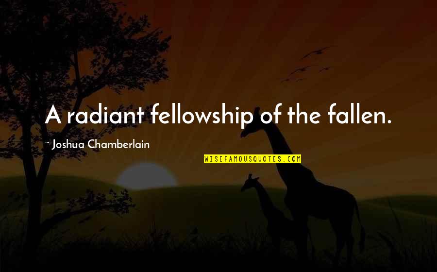 Catching Someone Out Quotes By Joshua Chamberlain: A radiant fellowship of the fallen.