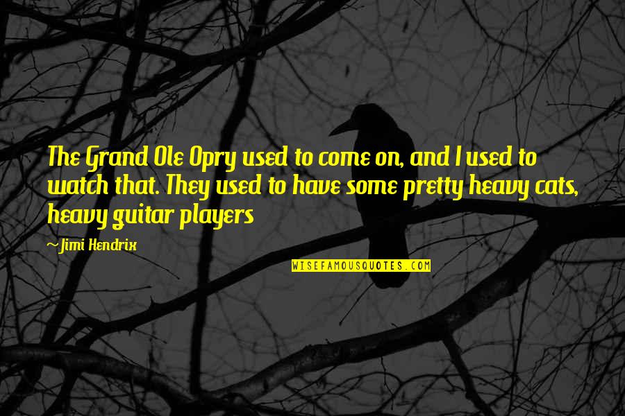 Cats And Music Quotes By Jimi Hendrix: The Grand Ole Opry used to come on,