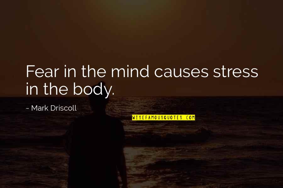 Causes Of Stress Quotes By Mark Driscoll: Fear in the mind causes stress in the