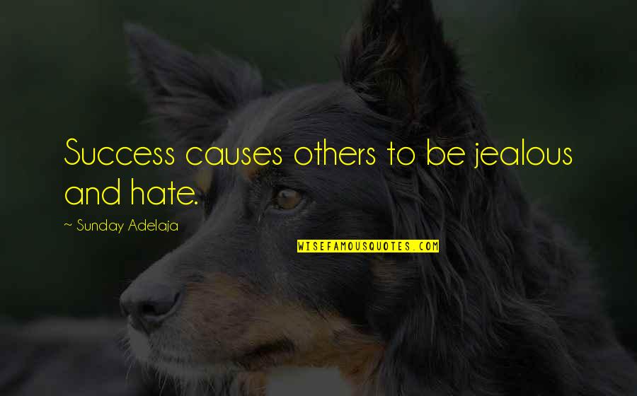 Causes Of Success Quotes By Sunday Adelaja: Success causes others to be jealous and hate.