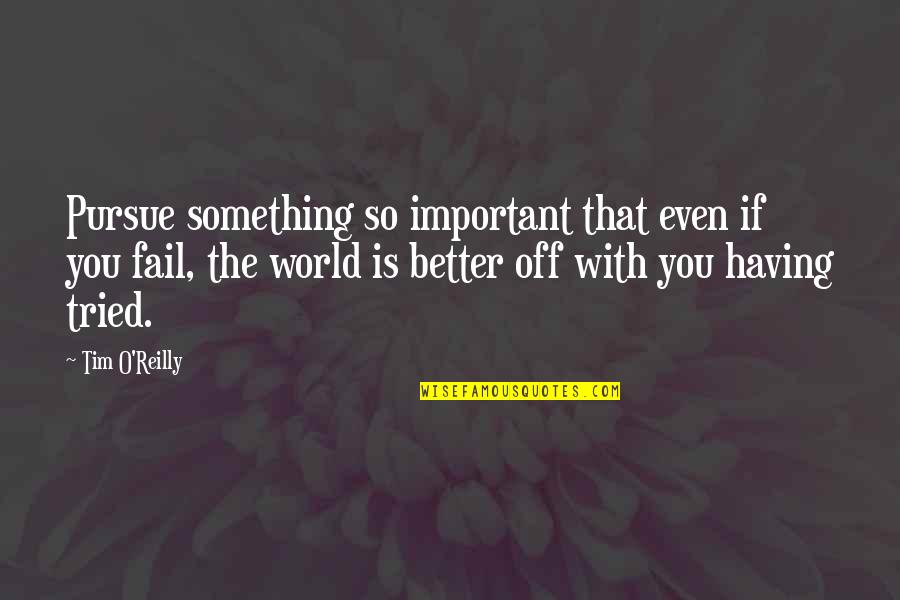 Causing Pain To Others Quotes By Tim O'Reilly: Pursue something so important that even if you