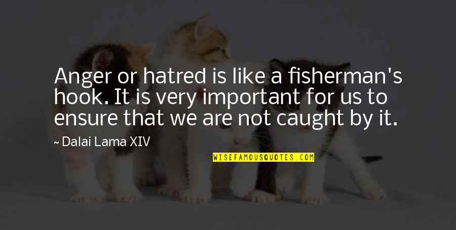 Cautious Optimism Quotes By Dalai Lama XIV: Anger or hatred is like a fisherman's hook.