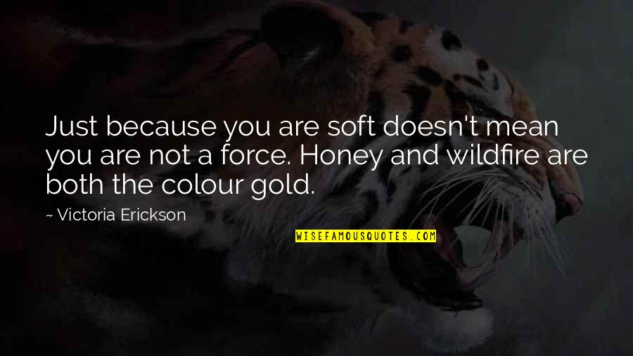 Caveman Drawings Quotes By Victoria Erickson: Just because you are soft doesn't mean you