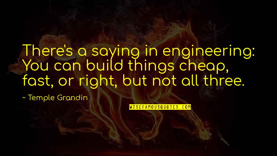 Cd Press Quotes By Temple Grandin: There's a saying in engineering: You can build