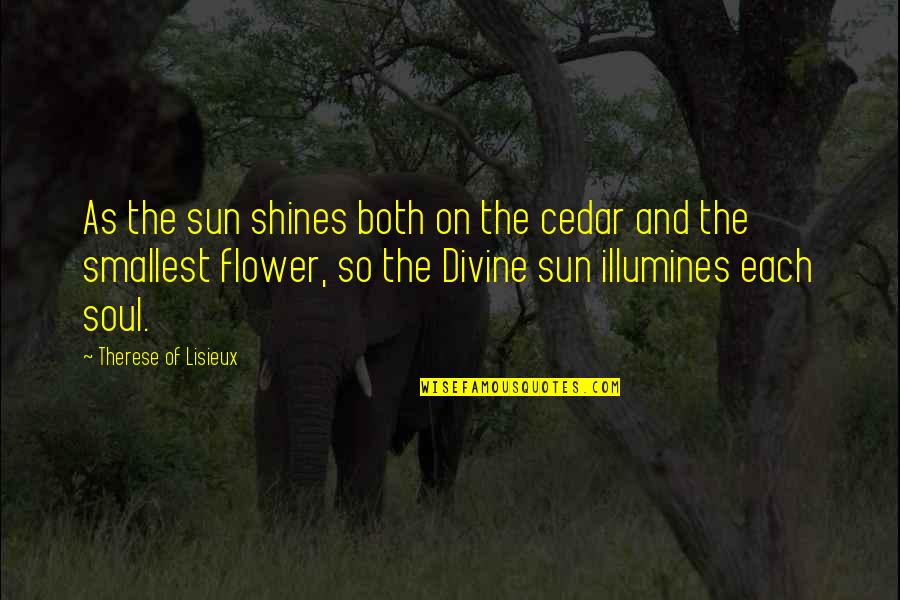 Cedar Quotes By Therese Of Lisieux: As the sun shines both on the cedar