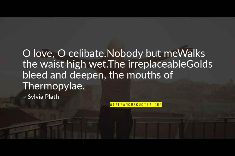 Celibate Quotes By Sylvia Plath: O love, O celibate.Nobody but meWalks the waist