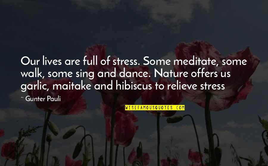 Celine Bag Quotes By Gunter Pauli: Our lives are full of stress. Some meditate,