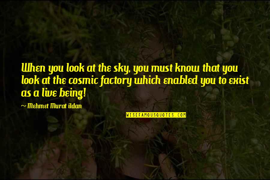 Cerni Motors Quotes By Mehmet Murat Ildan: When you look at the sky, you must