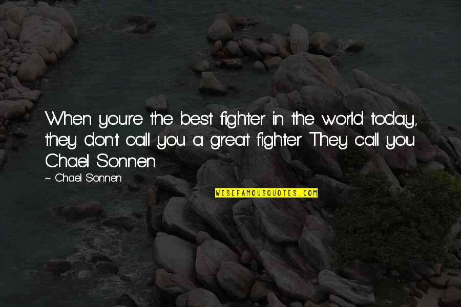 Chael P Sonnen Quotes By Chael Sonnen: When you're the best fighter in the world