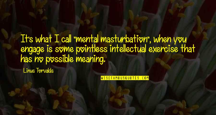 Chalakee Summer Quotes By Linus Torvalds: It's what I call "mental masturbation", when you