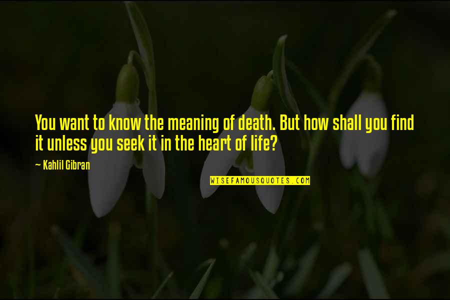 Chance Favors A Prepared Mind Quote Quotes By Kahlil Gibran: You want to know the meaning of death.