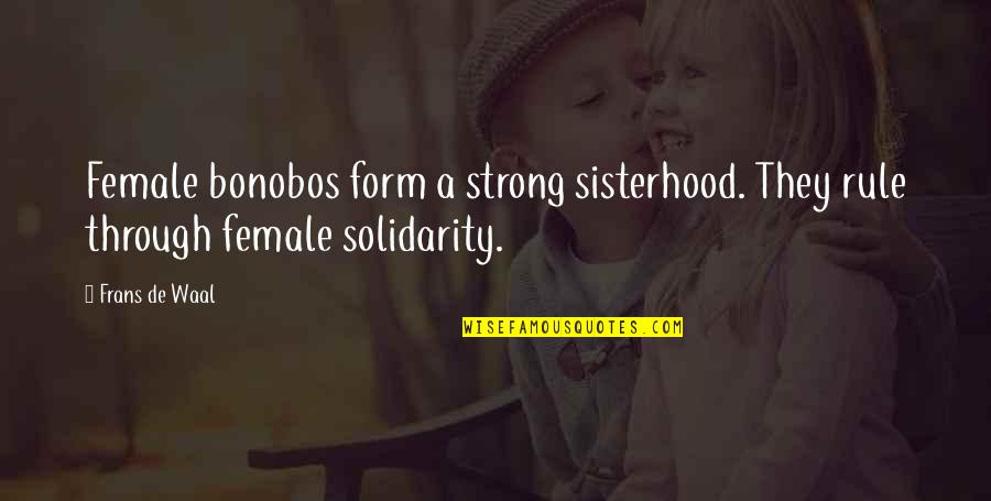 Chandeline Anchor Quotes By Frans De Waal: Female bonobos form a strong sisterhood. They rule