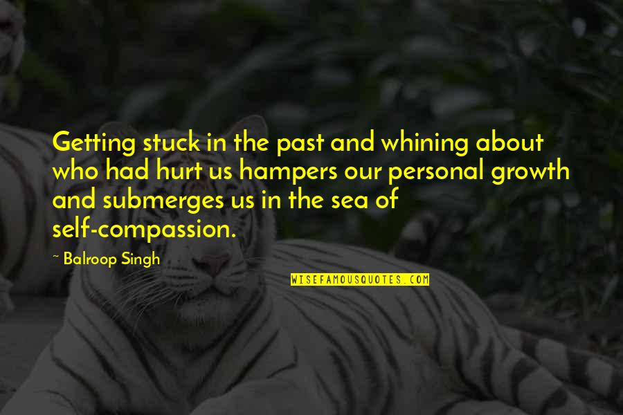 Chaouabti Quotes By Balroop Singh: Getting stuck in the past and whining about