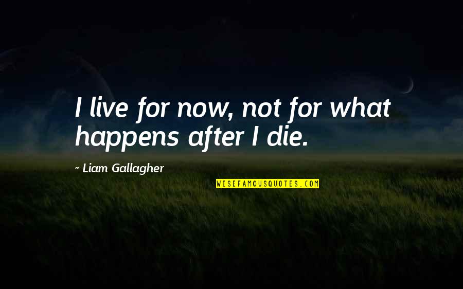 Checa Family Mexico Quotes By Liam Gallagher: I live for now, not for what happens