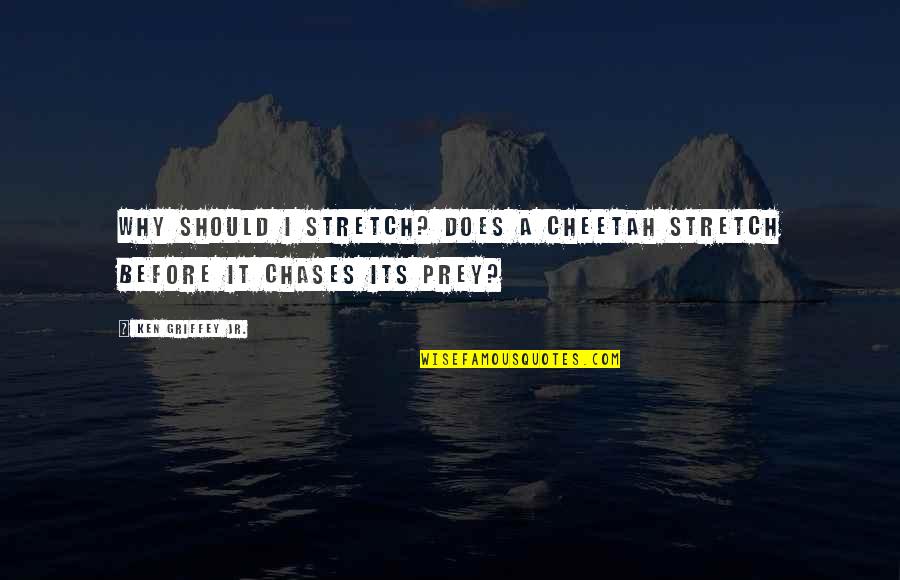 Cheetah Quotes By Ken Griffey Jr.: Why should I stretch? Does a cheetah stretch