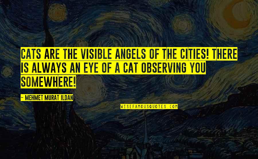 Cheresa Garland Quotes By Mehmet Murat Ildan: Cats are the visible angels of the cities!