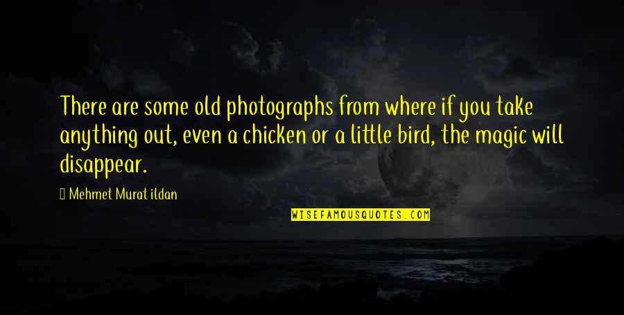 Chicken Little Quotes By Mehmet Murat Ildan: There are some old photographs from where if