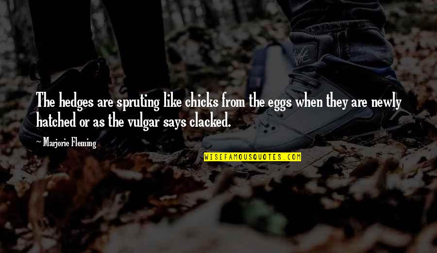 Chicks Quotes By Marjorie Fleming: The hedges are spruting like chicks from the