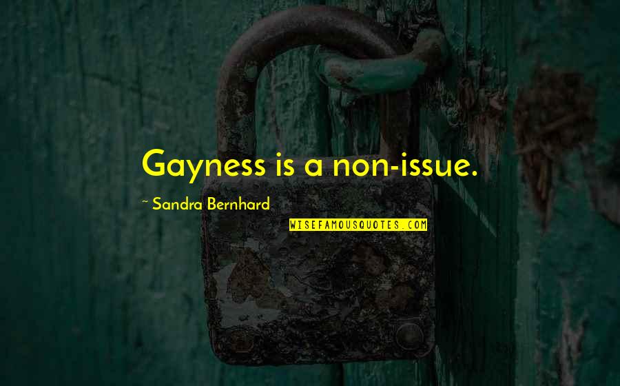 Childhood Best Friends To Lovers Quotes By Sandra Bernhard: Gayness is a non-issue.