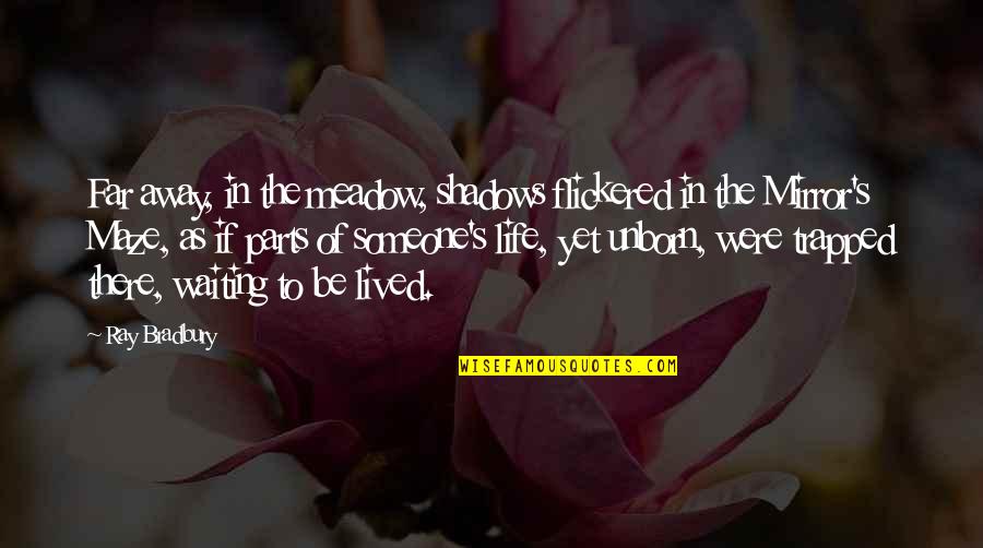 Child's Right To Education Quotes By Ray Bradbury: Far away, in the meadow, shadows flickered in