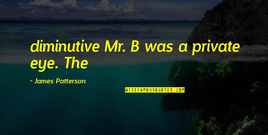 Chimiste En Quotes By James Patterson: diminutive Mr. B was a private eye. The