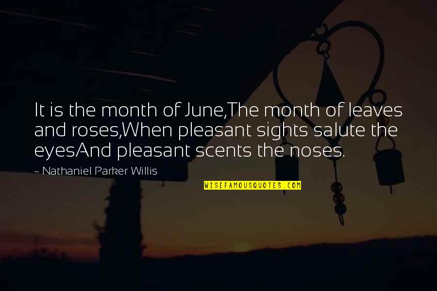 Chocolatinas Dibujo Quotes By Nathaniel Parker Willis: It is the month of June,The month of