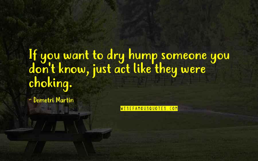 Choke You Out Quotes By Demetri Martin: If you want to dry hump someone you