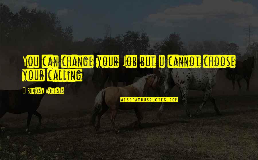 Choose Change Quotes By Sunday Adelaja: You can change your Job but u cannot