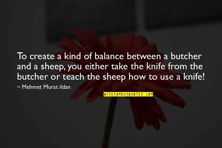 Chridheil Quotes By Mehmet Murat Ildan: To create a kind of balance between a