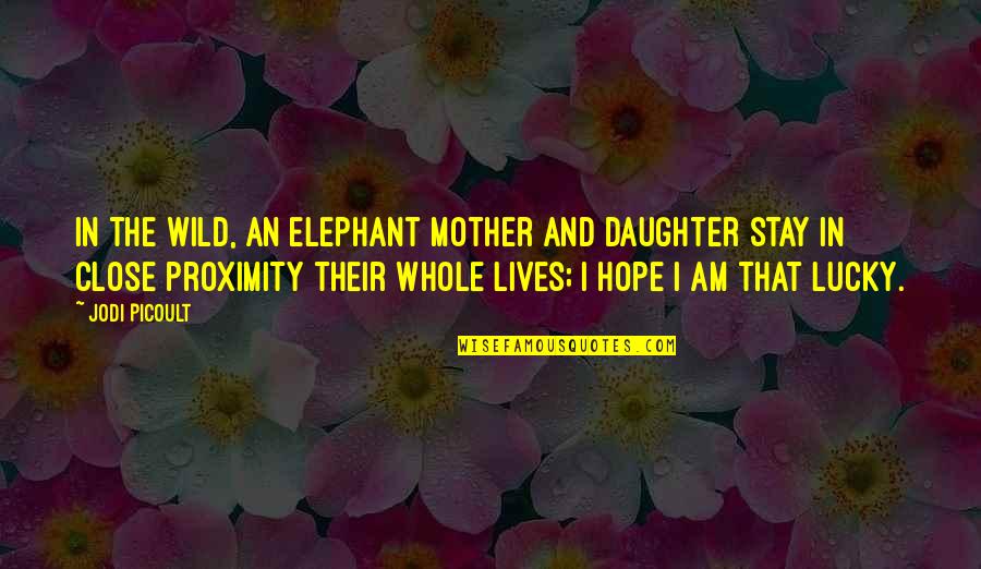 Christian Dark Ages Quotes By Jodi Picoult: In the wild, an elephant mother and daughter