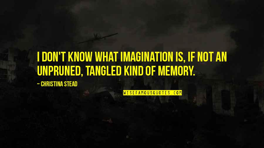 Christina Stead Quotes By Christina Stead: I don't know what imagination is, if not