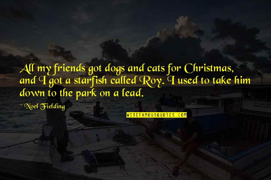 Christmas 7 Quotes By Noel Fielding: All my friends got dogs and cats for