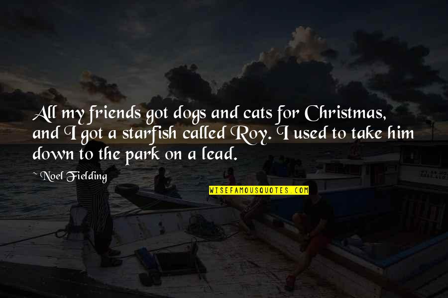 Christmas Best Friends Quotes By Noel Fielding: All my friends got dogs and cats for